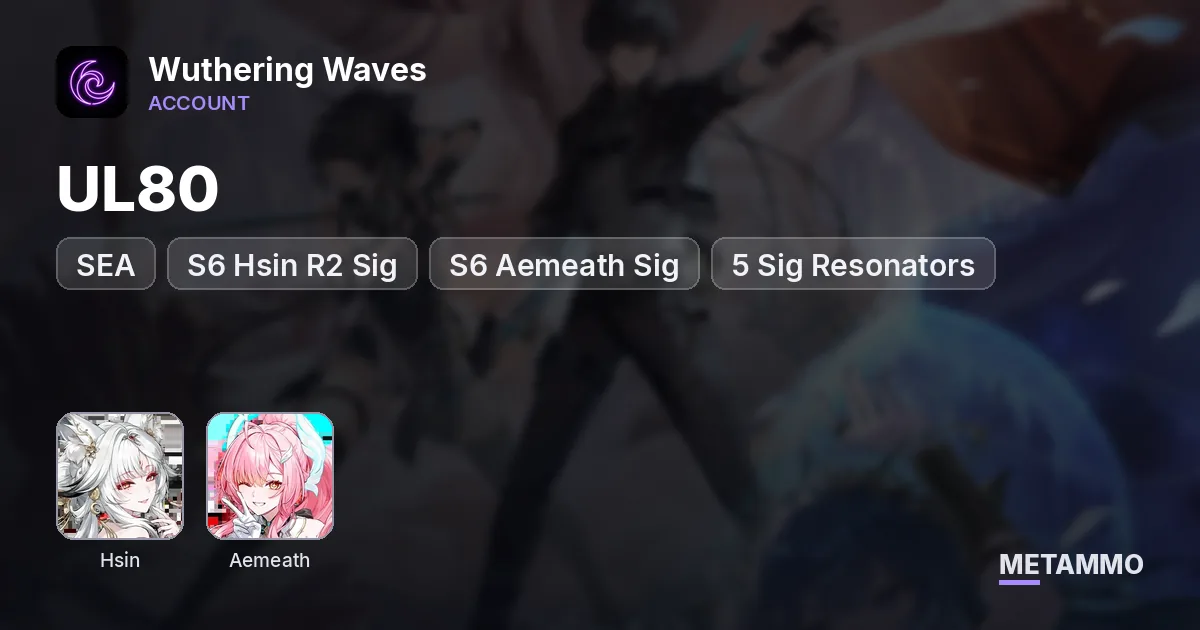 UL80 SEA | S6 Hsin R2 Sig | S6 Aemeath Sig | 5 Sig Resonators - Wuthering Waves account summary