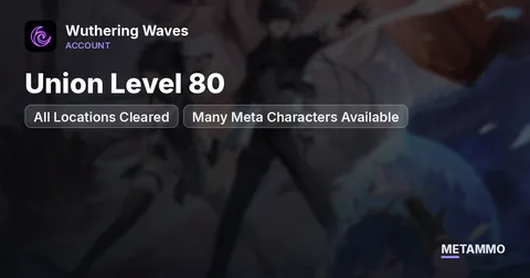 Union Level 80 | All Locations Cleared | Many Meta Characters Available