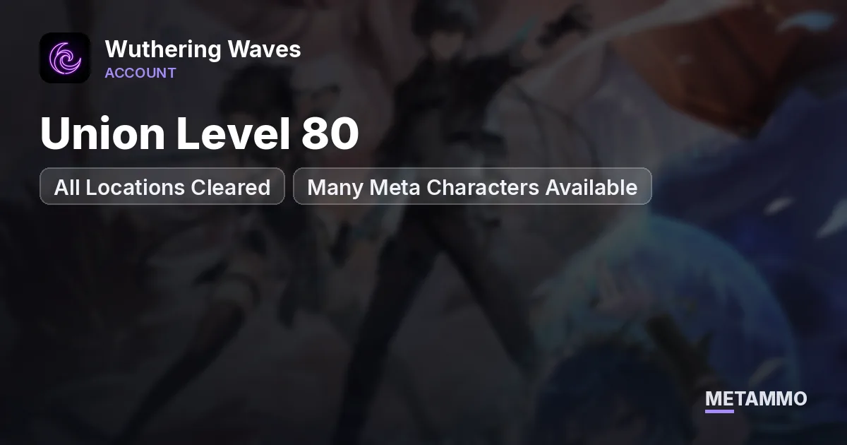 Union Level 80 | All Locations Cleared | Many Meta Characters Available - Wuthering Waves account summary