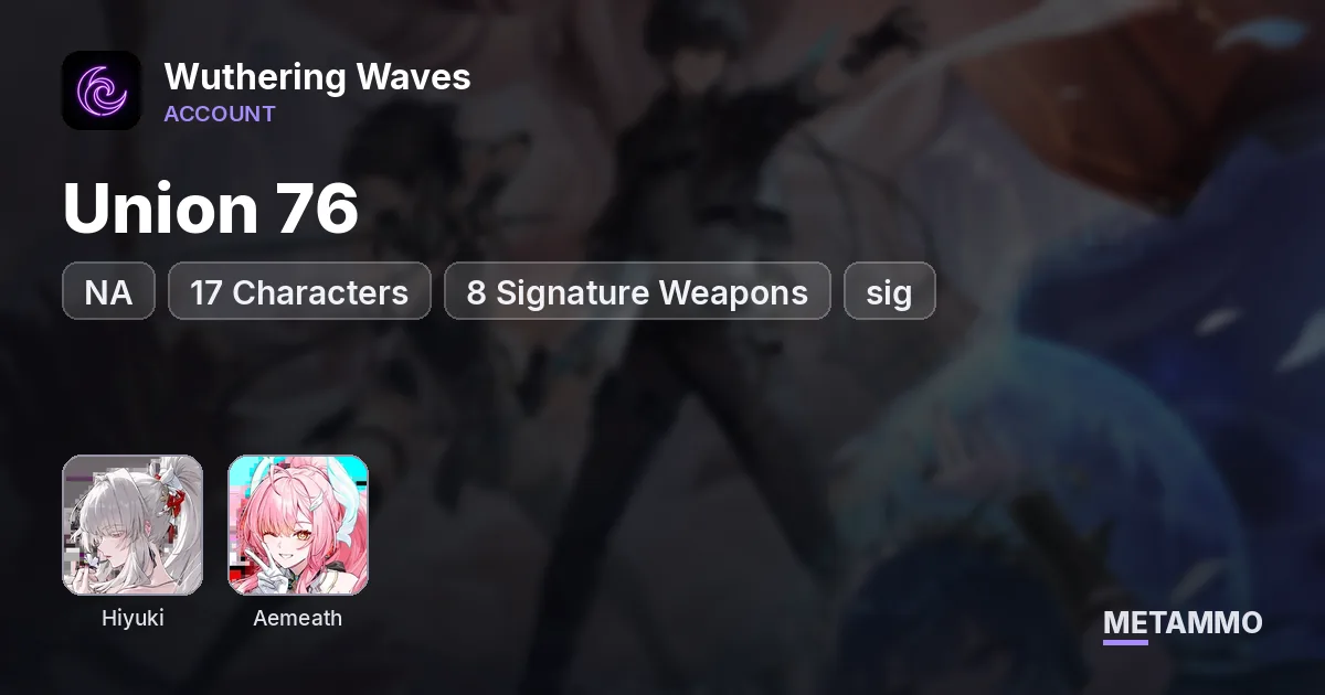 NA Union 76 | 17 Characters | 8 Signature Weapons | HIYUKI + sig | AEMEATH + sig - Wuthering Waves account summary
