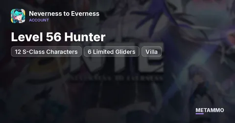 Level 56 Hunter | 12 S-Class Characters | 6 Limited Gliders | Villa