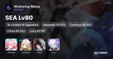 SEA Lv80 | 18 Limited 16 Signature | Aemeath RC6S1 | Cartetya RC3S1 | Chisa RC2S2 | Lucy RC1S1