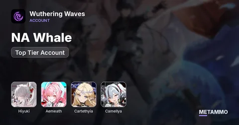 NA Whale | Hiyuki S6 | Aemeath S3 | Cartethyia S6 | Camellya S6 | Top Tier Account