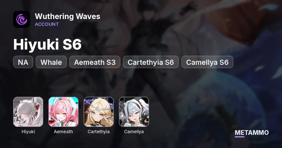 NA Whale | Hiyuki S6 | Aemeath S3 | Cartethyia S6 | Camellya S6 | Top Tier Account - Wuthering Waves account summary