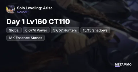Global Day 1 Lv160 CT110 | 6.07M Power | 57/57 Hunters | 15/15 Shadows | 18K Essence Stones