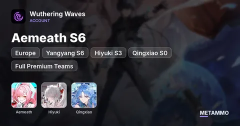 EU | Aemeath S6 | Yangyang S6 | Hiyuki S3 | Qingxiao S0 | Full Premium Teams | High Quality Echoes