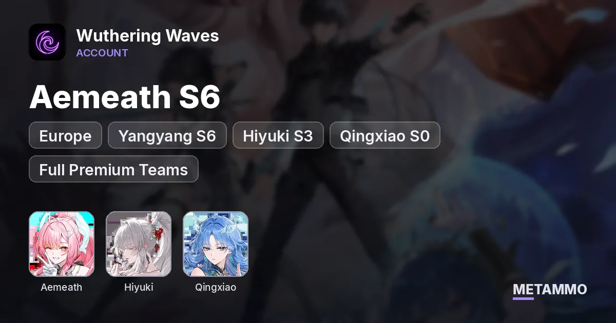 EU | Aemeath S6 | Yangyang S6 | Hiyuki S3 | Qingxiao S0 | Full Premium Teams | High Quality Echoes - Wuthering Waves account summary