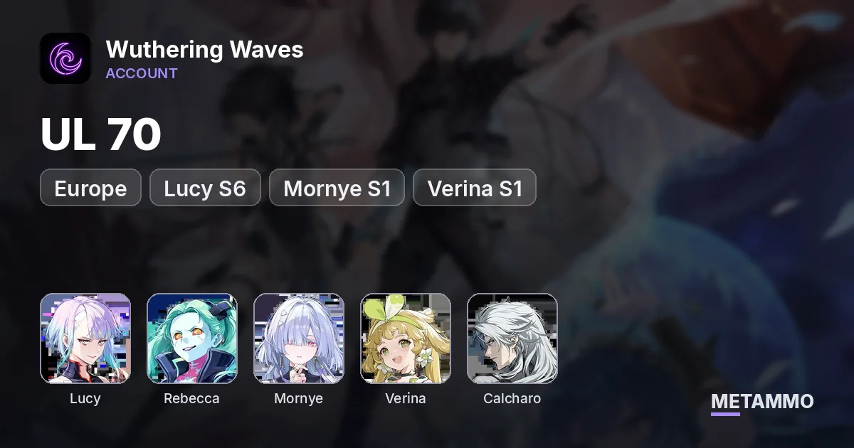 UL 70+ - EU - Lucy S6, Rebecca, Mornye S1, Verina S1, Calcharo - PC - Wuthering Waves account summary