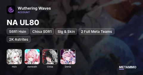 NA UL80 | S6R1 Hsin + S6R2 Aemeath | Chisa S0R1 + Sig & Skin | Denia | 2 Full Meta Teams | 2K Astrites