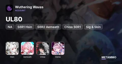 NA UL80 | S6R1 Hsin + S6R2 Aemeath | Chisa S0R1 + Sig & Skin | Denia | 2 Full Meta Teams | 2K Astrites