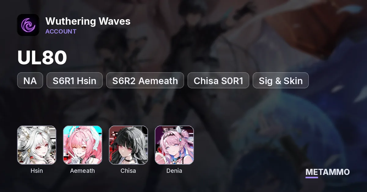 NA UL80 | S6R1 Hsin + S6R2 Aemeath | Chisa S0R1 + Sig & Skin | Denia | 2 Full Meta Teams | 2K Astrites - Wuthering Waves account summary
