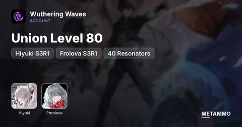 Union Level 80 | Hiyuki S3R1 | Frolova S3R1 | 40 Resonators