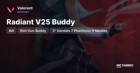 NA | Radiant V25 Buddy + Riot Gun Buddy | $1,439 Spent | 17 Vandals 7 Phantoms 9 Melees