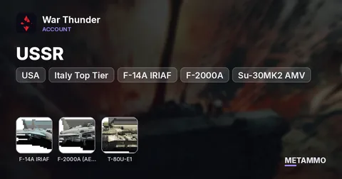 USSR + USA + Italy Top Tier | F-14A IRIAF, F-2000A, Su-30MK2 AMV, T-80U-E1 | 5 Coupons | Ace Crews | 110M SL