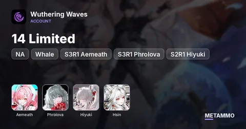 NA Whale | 14 Limited | S3R1 Aemeath + S3R1 Phrolova | S2R1 Hiyuki | Hsin + Sig | 3700 Astrites