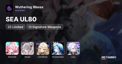 SEA UL80 | 22 Limited + 13 Signature Weapons | Aemeath | Hiyuki | Cartethyia | Shorekeeper | Lucy