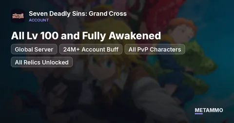 Global Server | 24M+ Account Buff | All PvP Characters | All Lv 100 and Fully Awakened | All Relics Unlocked