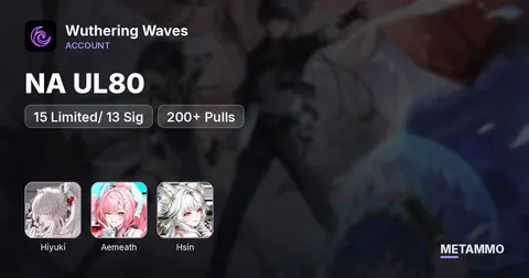 NA UL80 | S3 Hiyuki | S3 Aemeath | S1 Hsin | 15 Limited/ 13 Sig | 200+ Pulls