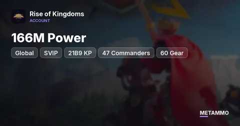 Global SVIP | 166M Power | 21B9 KP | 47 Commanders | 60 Gear | 77 Passports | City Hall 25 | 14 Farms
