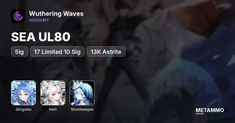 SEA UL80 | S6 Qingxiao + Sig | S2 Hsin + Sig | S2 Shorekeeper | 17 Limited 10 Sig | 13K Astrite