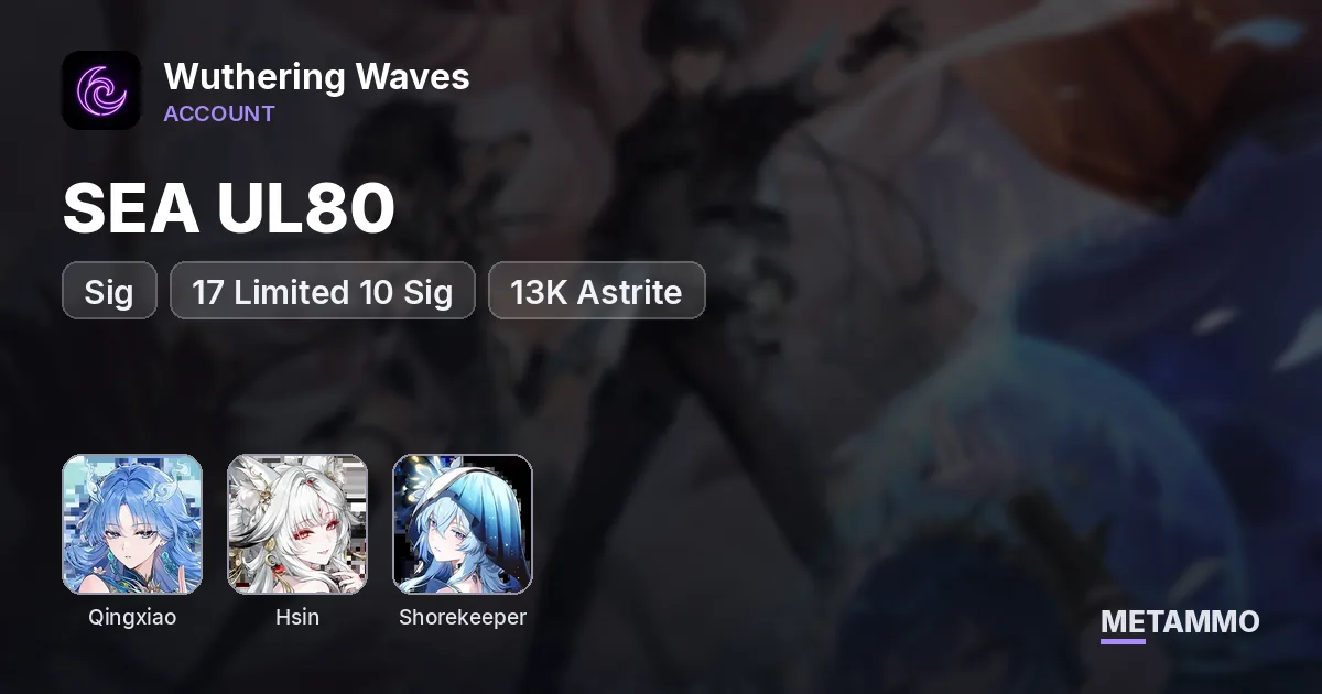 SEA UL80 | S6 Qingxiao + Sig | S2 Hsin + Sig | S2 Shorekeeper | 17 Limited 10 Sig | 13K Astrite - Wuthering Waves account summary