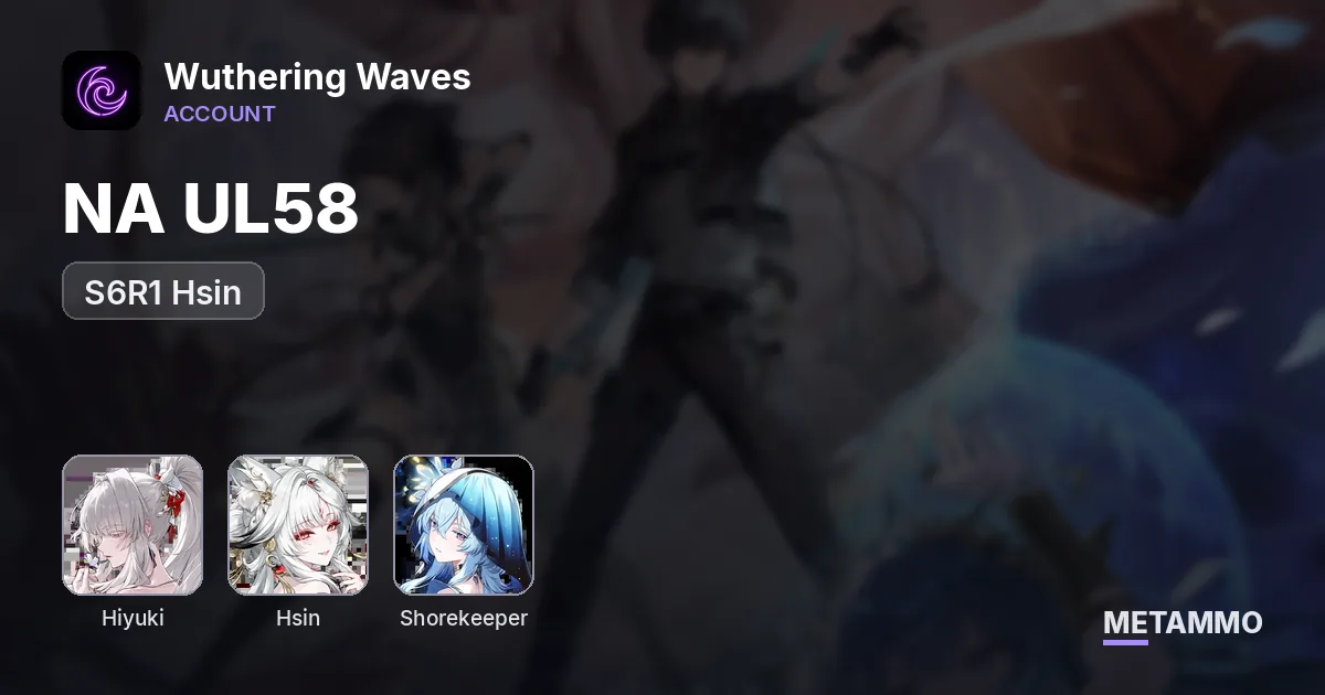 NA UL58 | S6R1 Hiyuki | S6R1 Hsin | S0 Shorekeeper - Wuthering Waves account summary