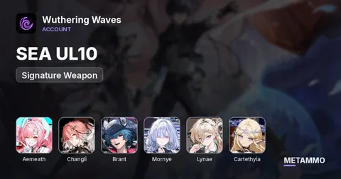 SEA UL10 | Aemeath + Signature Weapon | Changli + Signature Weapon | Brant | Mornye | Lynae | Cartethyia