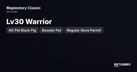 Lv30 Warrior | NX Pet Black Pig | Booster Pet | Regular Store Permit