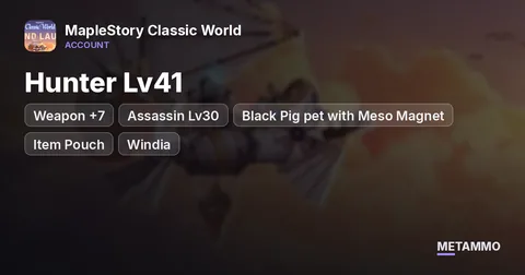 Hunter Lv41 | Weapon +7 | Assassin Lv30 | Black Pig pet with Meso Magnet, Item Pouch | Windia