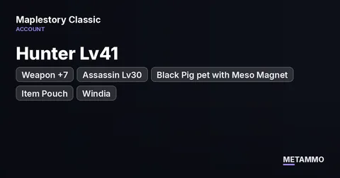 Hunter Lv41 | Weapon +7 | Assassin Lv30 | Black Pig pet with Meso Magnet, Item Pouch | Windia