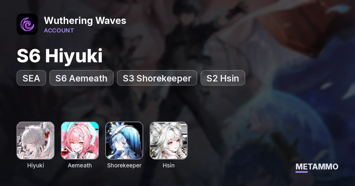 SEA | S6 Hiyuki | S6 Aemeath | S3 Shorekeeper | S2 Hsin - Wuthering Waves account summary