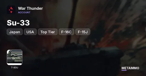USA + Japan Top Tier | Su-33, F-16C, F-15J, F-16AJ, T-80UK | USSR Premium Tanks, Squadron Vehicles | Level 100