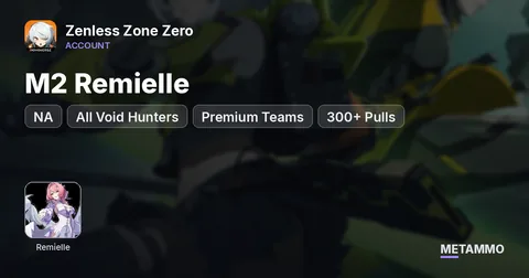 NA Server | M2 Remielle | All Void Hunters | Premium Teams | 300+ Pulls