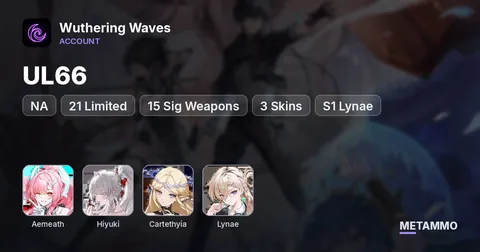 NA UL66 | 21 Limited/ 15 Sig Weapons | Aemeath, Hiyuki, Cartethyia | 3 Skins | S1 Lynae