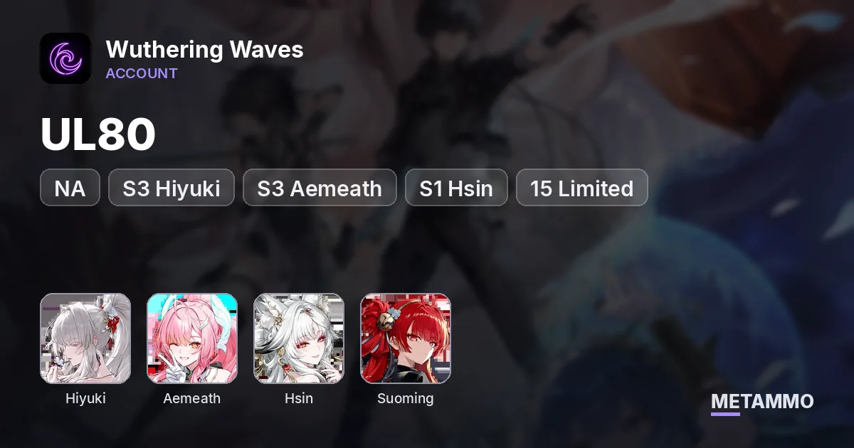 NA UL80 | S3 Hiyuki | S3 Aemeath | S1 Hsin | 15 Limited + 13 Signature Weapons | Suoming Sig - Wuthering Waves account summary