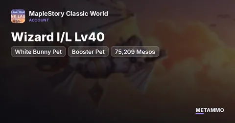 Wizard I/L Lv40 | White Bunny Pet + Booster Pet | Regular Store Permit | 75,209 Mesos | Windia
