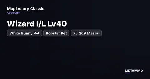 Wizard I/L Lv40 | White Bunny Pet + Booster Pet | Regular Store Permit | 75,209 Mesos | Windia