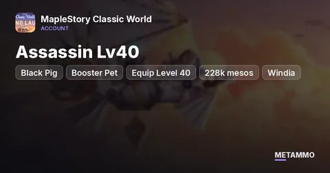 Assassin Lv40 | Black Pig + Booster Pet | Equip Level 40 | 228k mesos | Windia