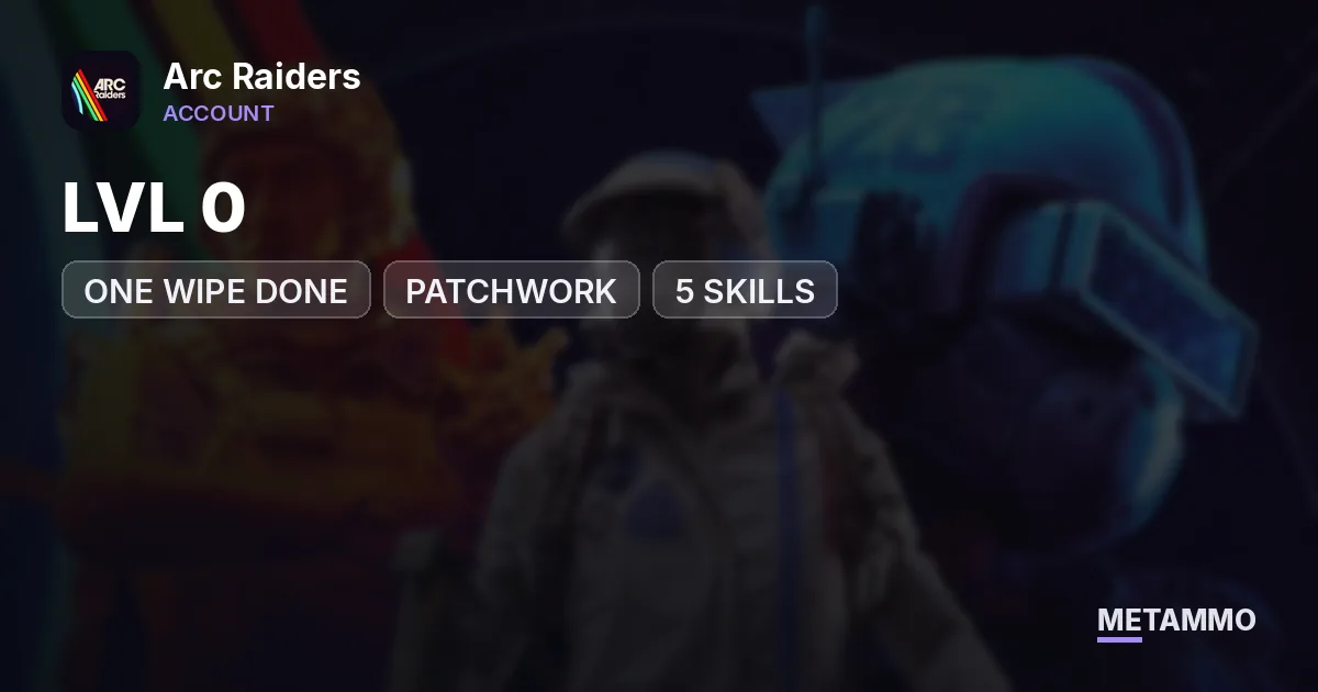 LVL 0 | ONE WIPE DONE | PATCHWORK | +5 SKILLS - Arc Raiders account summary