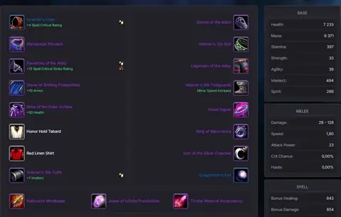 Spineshatter - Human Mage 70◈BiS PRERAID◈1425 GS◈ALCHEMY/HERBALISM◈60% FLY◈ - World of Warcraft: Classic account screenshot 2