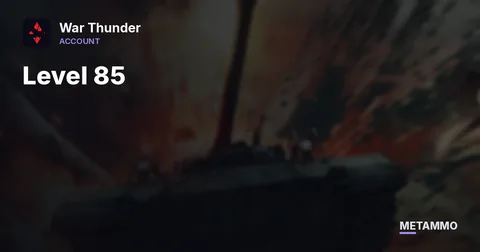 Level 85 | Israel/France/Sweden/USSR Top Tier | Premium Vehicles