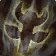 Totemic Recall icon