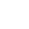 Spirit Lasso ability icon