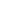 Spectral Wall ability icon