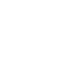 Slam Fire ability icon
