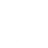 Flight ability icon