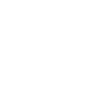 Crow Familiar ability icon