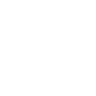 Puddle Punch ability icon