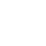 Shadow Transformation ability icon