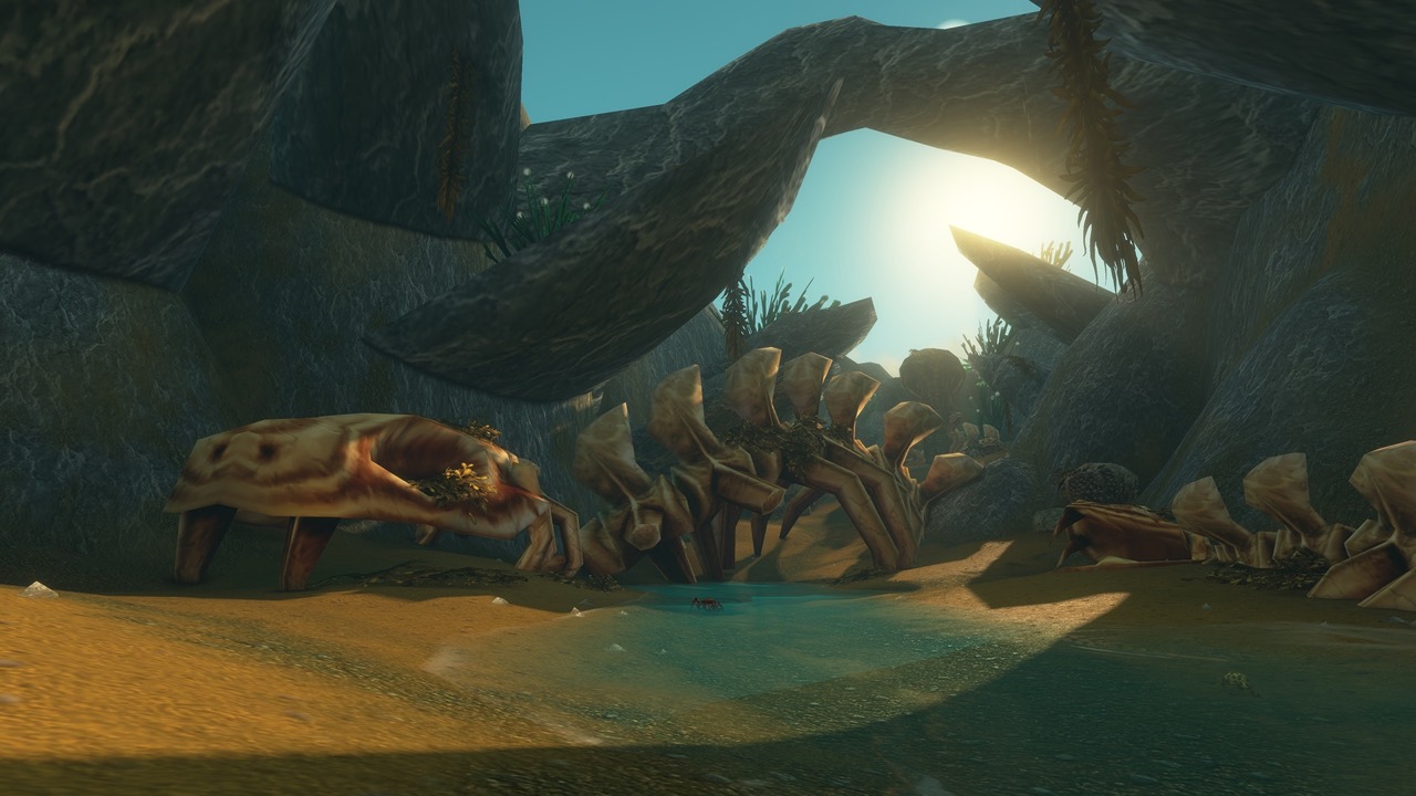 A cave with giant skeletons and water